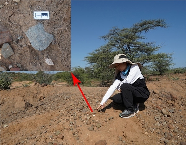 地層中的勒瓦婁哇石片。中肯聯(lián)合考古隊(duì)供圖