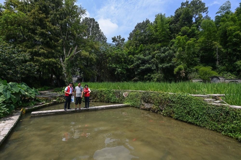 2023年8月17日，浙江省麗水市青田縣方山鄉(xiāng)田魚養(yǎng)殖戶吳勇強（中）在接受青田農商銀行“小蜻蜓”服務隊志愿者提供的“惠民易貸”上門服務。近年來，青田縣金融發(fā)展中心聯(lián)合各個金融機構優(yōu)化配套鄉(xiāng)村振興金融服務，推出“惠民易貸”“農家樂貸”等金融產品，重點支持涉農龍頭企業(yè)及特色種養(yǎng)殖產業(yè)。新華社記者 徐昱 攝