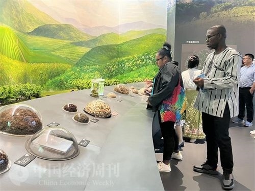  （在中國藥都中醫(yī)藥博物館，外媒記者了解中醫(yī)藥發(fā)展史。中國經(jīng)濟周刊記者 郭志強 攝）