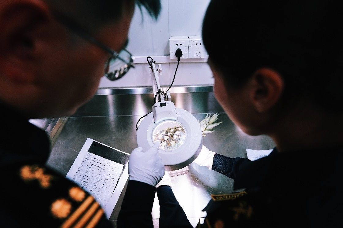 上海海關(guān)關(guān)員針對檢疫性有害生物和農(nóng)藥殘留進(jìn)行檢疫檢驗。陳興洲攝