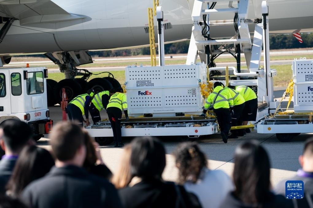 11月8日，在美國弗吉尼亞州的華盛頓杜勒斯國際機(jī)場，裝有大熊貓的特制“旅行包廂”準(zhǔn)備運(yùn)上專機(jī)。新華社記者劉杰攝