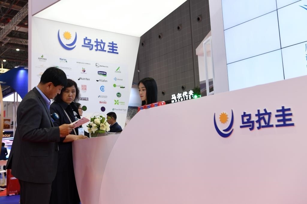 2019年11月6日，參觀者在第二屆進博會烏拉圭國家館展臺咨詢。