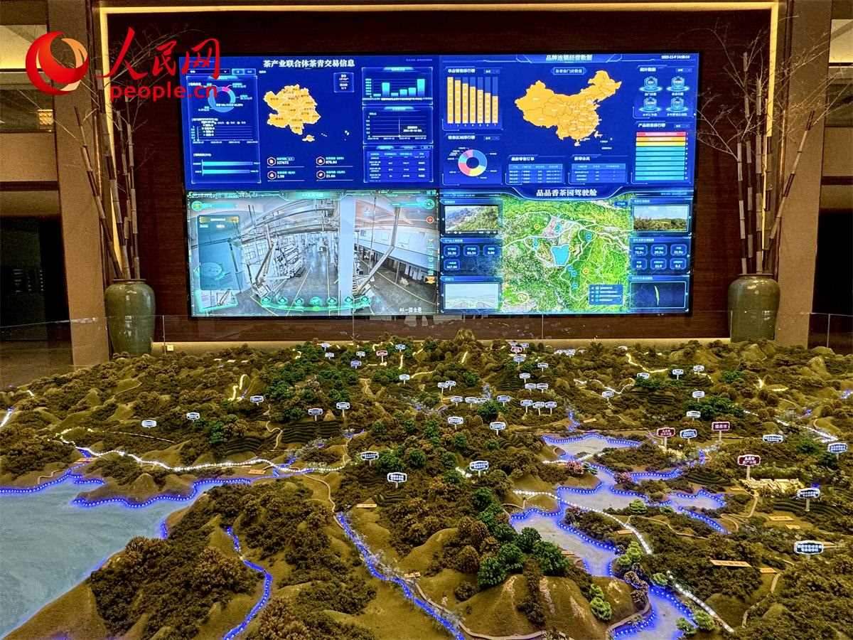 品品香白茶產(chǎn)業(yè)園信息中心數(shù)智化大屏。人民網(wǎng)記者 劉微攝