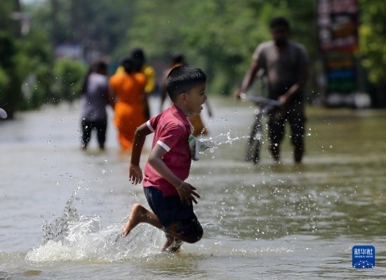 11月24日，一名男孩在斯里蘭卡加姆珀哈涉水出行。新華社發(fā)（阿吉特·佩雷拉攝）