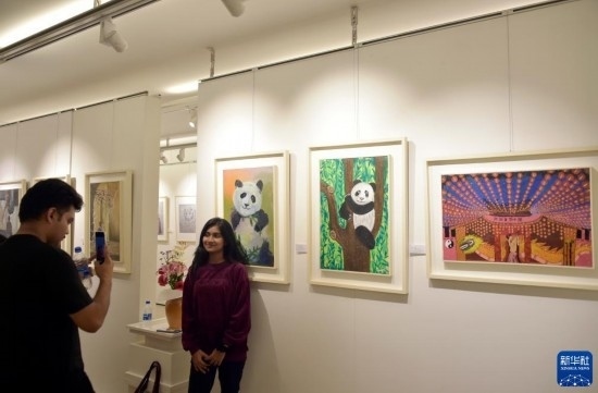 11月22日，在孟加拉國達(dá)卡，人們在“國家印象”繪畫展上參觀拍照。新華社發(fā)（薩利姆攝）