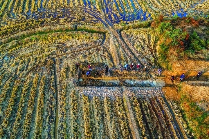 良渚遺址考古發(fā)掘現(xiàn)場。