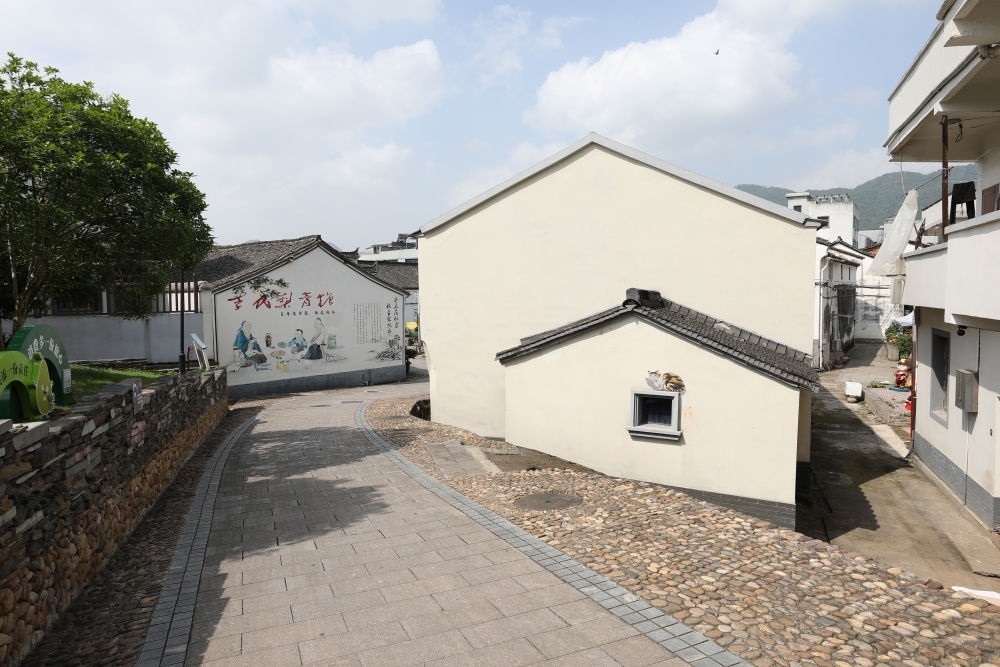 浙江省義烏市李祖村一景（2023年5月23日攝）。新華社記者 杜瀟逸 攝