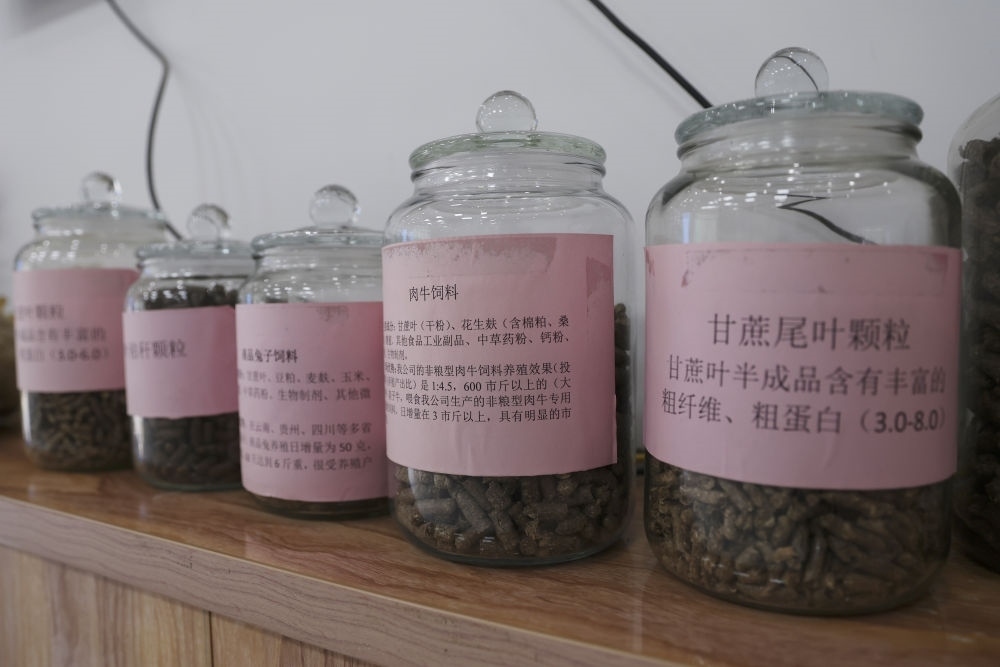 這是12月13日在來賓市興賓區(qū)小平陽鎮(zhèn)一家飼料廠拍攝的以甘蔗尾葉為原料制成的飼料。