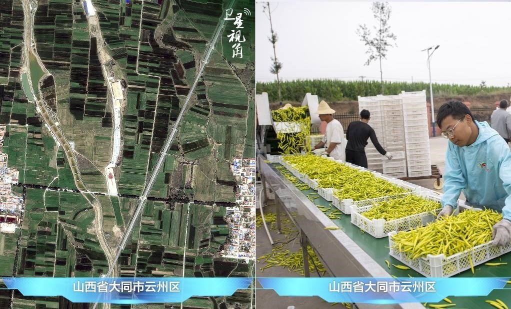 當前，大同市開發(fā)黃花菜品、食品、飲品、功能食品、化妝品、文創(chuàng)產品六大系列130余種，全產業(yè)鏈產值超40億元。