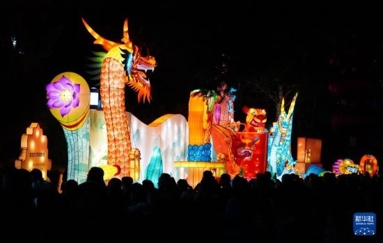 2月11日晚，人們?cè)跐?jì)南市趵突泉公園觀賞花燈。