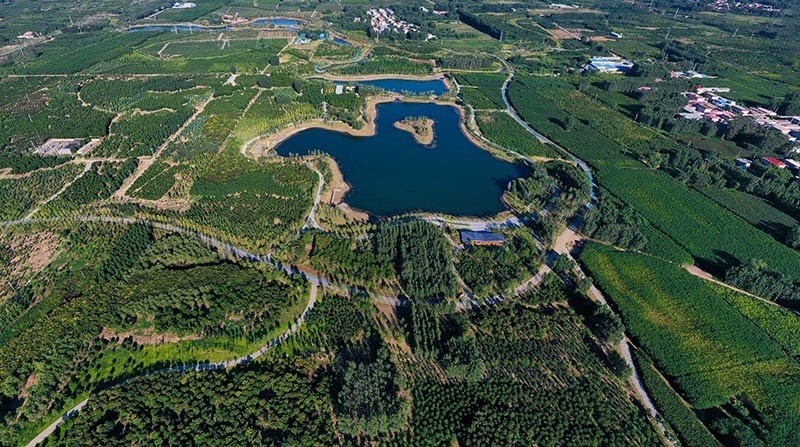 這是2022年9月6日拍攝的雄安新區(qū)“千年秀林”。