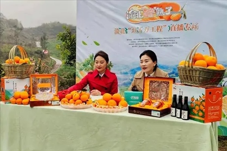 2021年2月26日，在重慶渝北區(qū)大盛鎮(zhèn)青龍村舉辦的直播活動(dòng)現(xiàn)場。