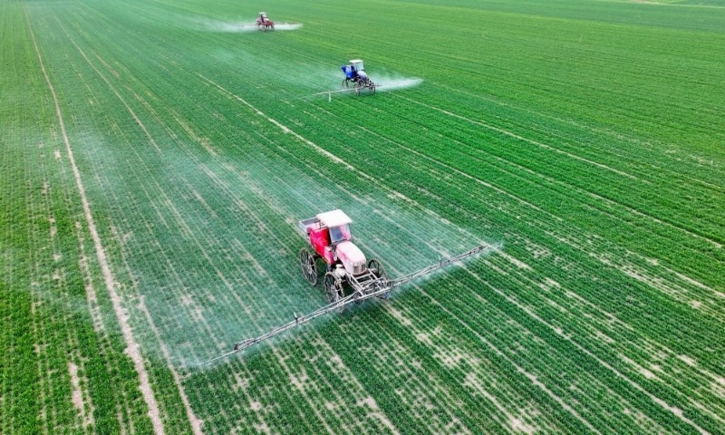 2024年2月18日，安徽省亳州市，利辛縣紀(jì)王場鄉(xiāng)孫老家村麥田，農(nóng)民駕駛自走式高桿噴霧機對小麥進行噴藥作業(yè)。