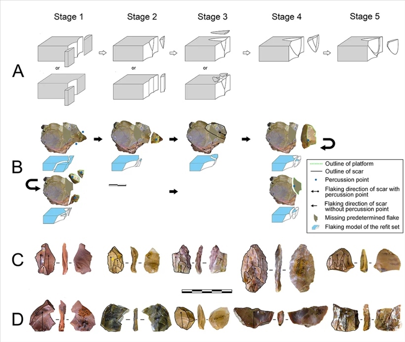 岑家灣遺址“準(zhǔn)備石核技術(shù)”及相關(guān)石制品。（受訪單位供圖）