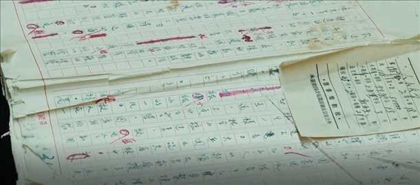 曲波《林海雪原》手稿。主辦方供圖