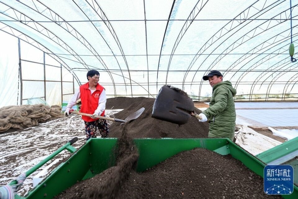 新華全媒+｜“大糧倉”黑龍江春耕備耕火熱進行