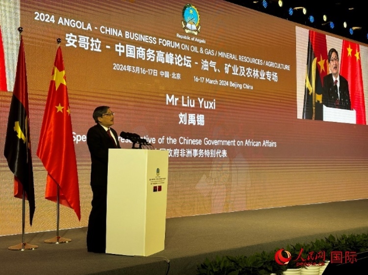 中國(guó)政府非洲事務(wù)特別代表劉禹錫。人民網(wǎng)記者 張榮攝