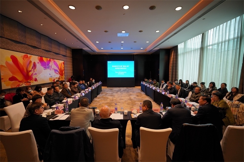 座談會現(xiàn)場。主辦方供圖