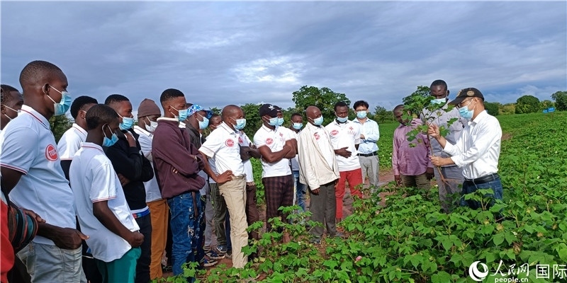 項目組長首小勇向當(dāng)?shù)孛揶r(nóng)做技術(shù)講解。人民網(wǎng)記者 黃培昭攝