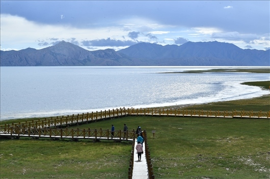 △ 游客行走在青海瑪多縣冬格措納湖畔的木棧道上。