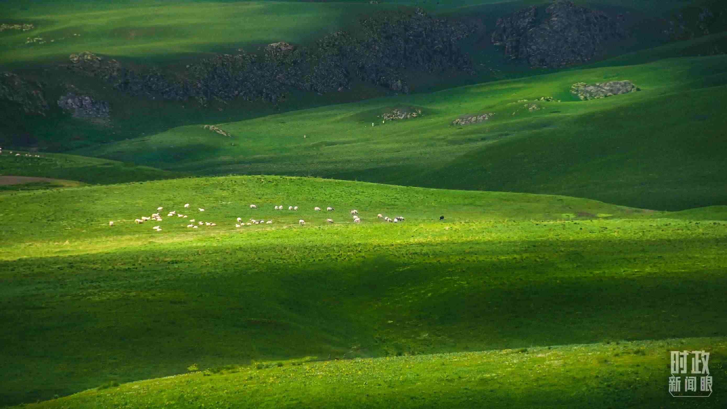 △祁連山草原光影。（圖/視覺中國）