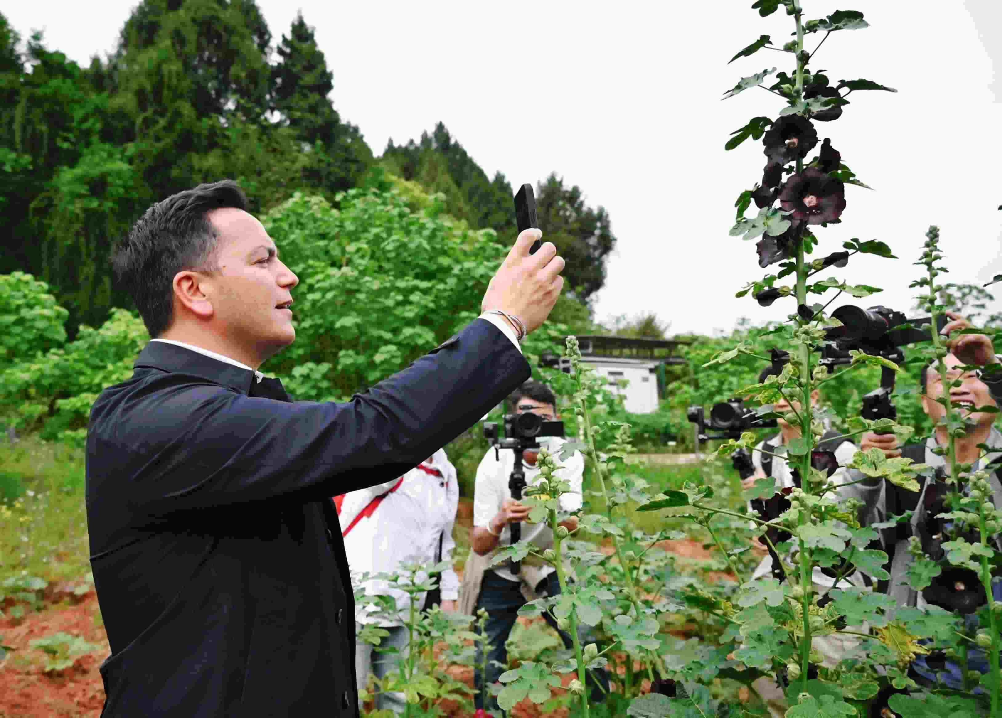  △2024年4月23日，國(guó)際園藝生產(chǎn)者協(xié)會(huì)主席萊昂納多·卡皮塔尼奧在成都市金堂縣鮮花山谷景區(qū)考察蜀葵產(chǎn)業(yè)。