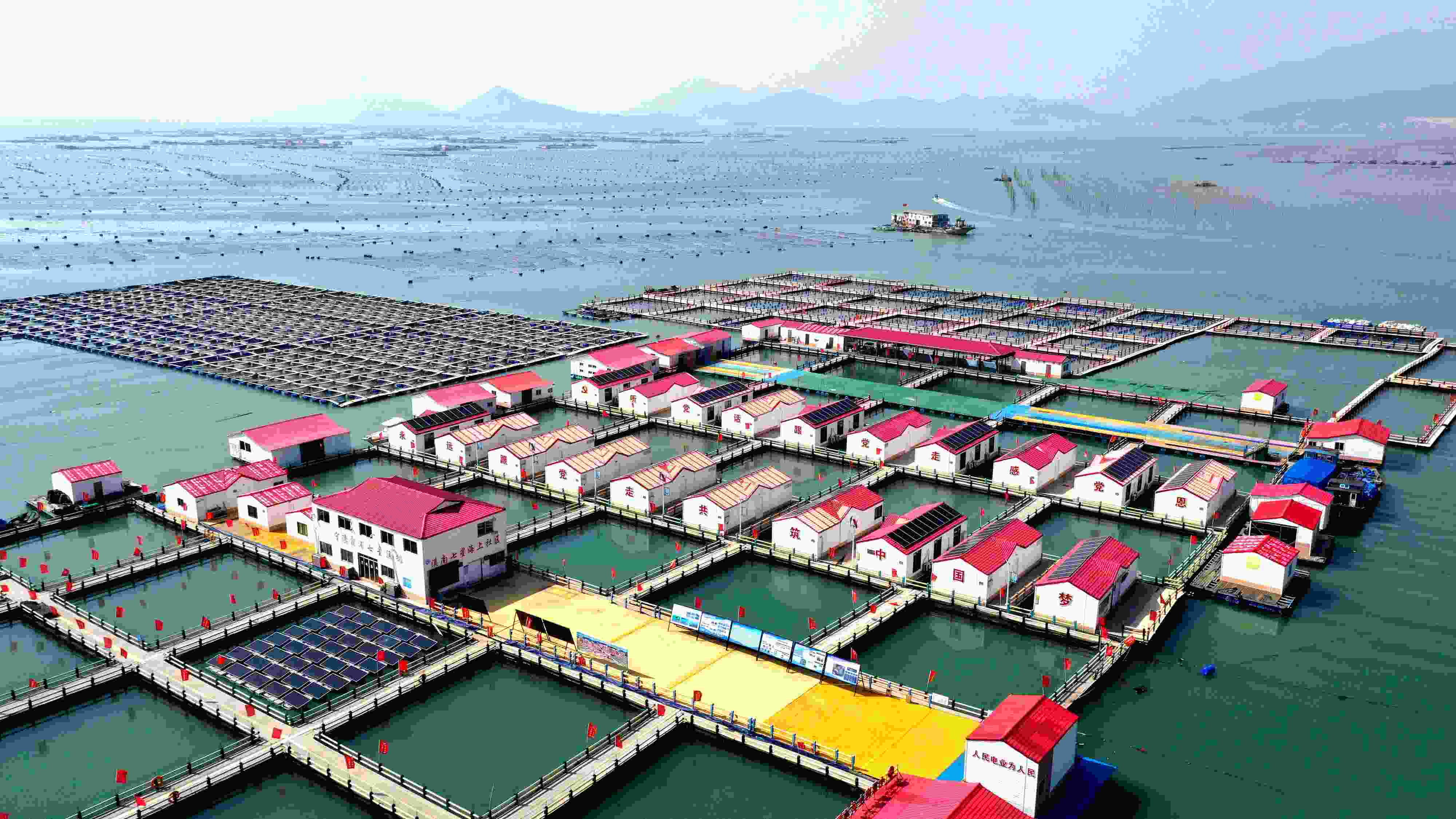 2024年3月20日，福建省寧德市，霞浦縣溪南鎮(zhèn)七星村漁排養(yǎng)殖示范區(qū)，漁民駕駛養(yǎng)殖船進行海參養(yǎng)殖作業(yè)。