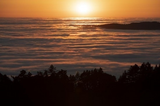 這是5月14日在美國(guó)加利福尼亞州馬林縣拍攝的云海。新華社發(fā)（李建國(guó)攝）