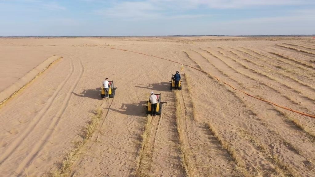 內(nèi)蒙古巴彥淖爾市烏拉特后旗西補(bǔ)隆林業(yè)管護(hù)中心職工駕駛機(jī)械鋪設(shè)壓沙障。新華社記者 李云平 攝