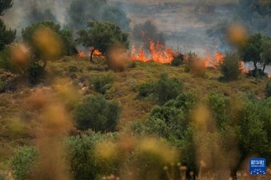 6月12日，以色列北部加利利地區(qū)遭受火箭彈襲擊后冒出滾滾濃煙。新華社發(fā)（阿亞爾·馬戈林?jǐn)z/基尼圖片社）