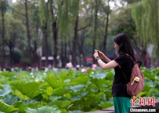 6月19日，時(shí)值一年畢業(yè)季，四川大學(xué)望江校區(qū)荷花池里的荷花盛開，成為了畢業(yè)生們的打卡圣地，吸引了眾多畢業(yè)生拍照留念。圖為畢業(yè)生在荷花池邊拍照留念。中新社記者 安源 攝