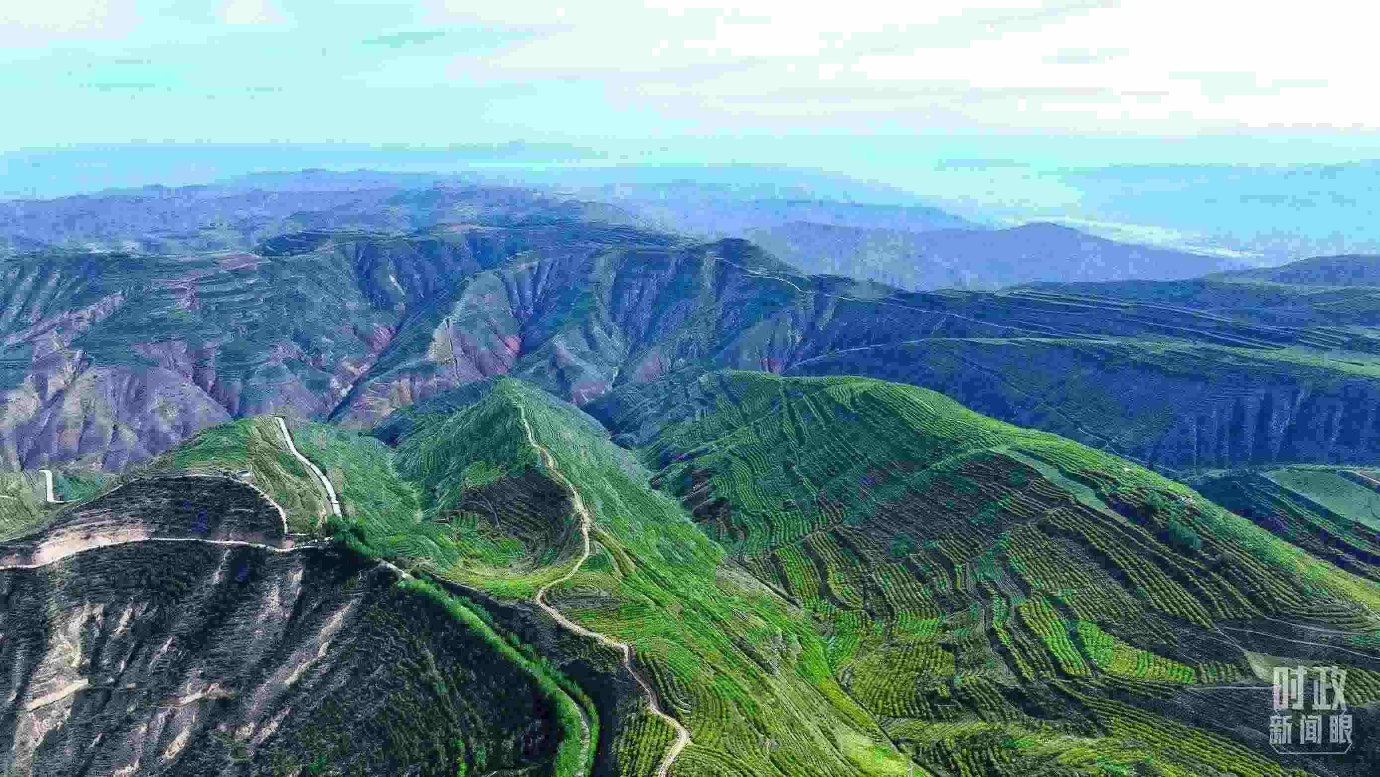 △青海西寧。（總臺記者柳成拍攝）