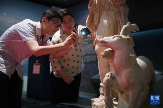 7月2日，安徽博物院工作人員在拍攝開(kāi)箱后的古希臘文物。新華社記者 張端 攝