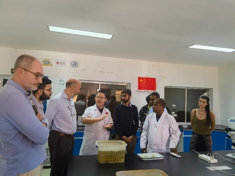 活動(dòng)現(xiàn)場(chǎng)。專(zhuān)家組供圖