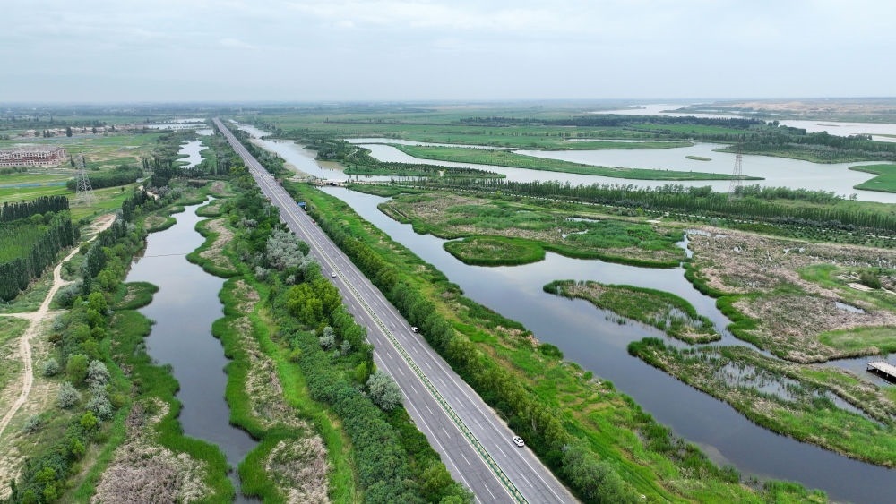 這是2024年6月13日拍攝的黃河寧夏段濱河大道（無(wú)人機(jī)照片）。近年來(lái)，寧夏努力建設(shè)黃河流域生態(tài)保護(hù)和高質(zhì)量發(fā)展先行區(qū)，全力打好黃河保護(hù)持久戰(zhàn)。新華社記者 王鵬 攝