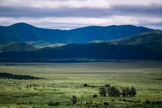 2023年8月4日拍攝的大興安嶺南麓內(nèi)蒙古罕山國(guó)家級(jí)自然保護(hù)區(qū)風(fēng)光。新華社記者 連振 攝
