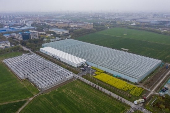 2024年3月28日，空中俯瞰嘉興南湖區(qū)湘家蕩農(nóng)業(yè)數(shù)字化工廠（無人機(jī)照片）。該農(nóng)業(yè)數(shù)字化工廠占地總面積約62畝，包含智慧農(nóng)業(yè)生產(chǎn)、物聯(lián)網(wǎng)智能管理、自動分揀包裝、保鮮儲藏物流、高科技示范展示等五大功能區(qū)，可直接或間接培養(yǎng)帶動新型職業(yè)技術(shù)農(nóng)民500人以上。新華社記者 徐昱 攝