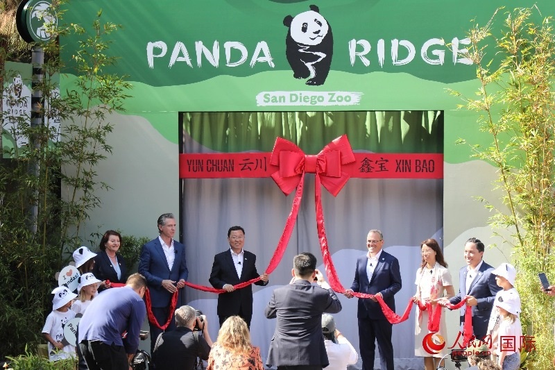 1、中國(guó)駐美國(guó)大使謝鋒、加州州長(zhǎng)紐森、圣迭戈市市長(zhǎng)格洛利亞等人共同為“熊貓嶺”開館剪彩。 人民網(wǎng)記者 李志偉攝
