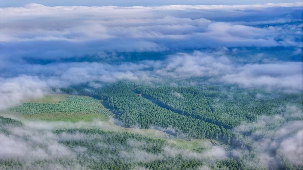 2024年7月26日拍攝的塞罕壩國家級自然保護區(qū)景色。新華社發(fā)（劉滿倉 攝）