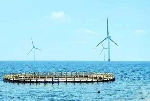 △山東萊州風(fēng)電項(xiàng)目實(shí)現(xiàn)了海上風(fēng)電和海洋牧場(chǎng)融合發(fā)展。