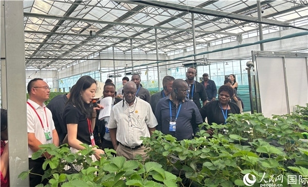 研討班成員在大棚中了解植物種植技術。人民網(wǎng) 曹欣悅攝