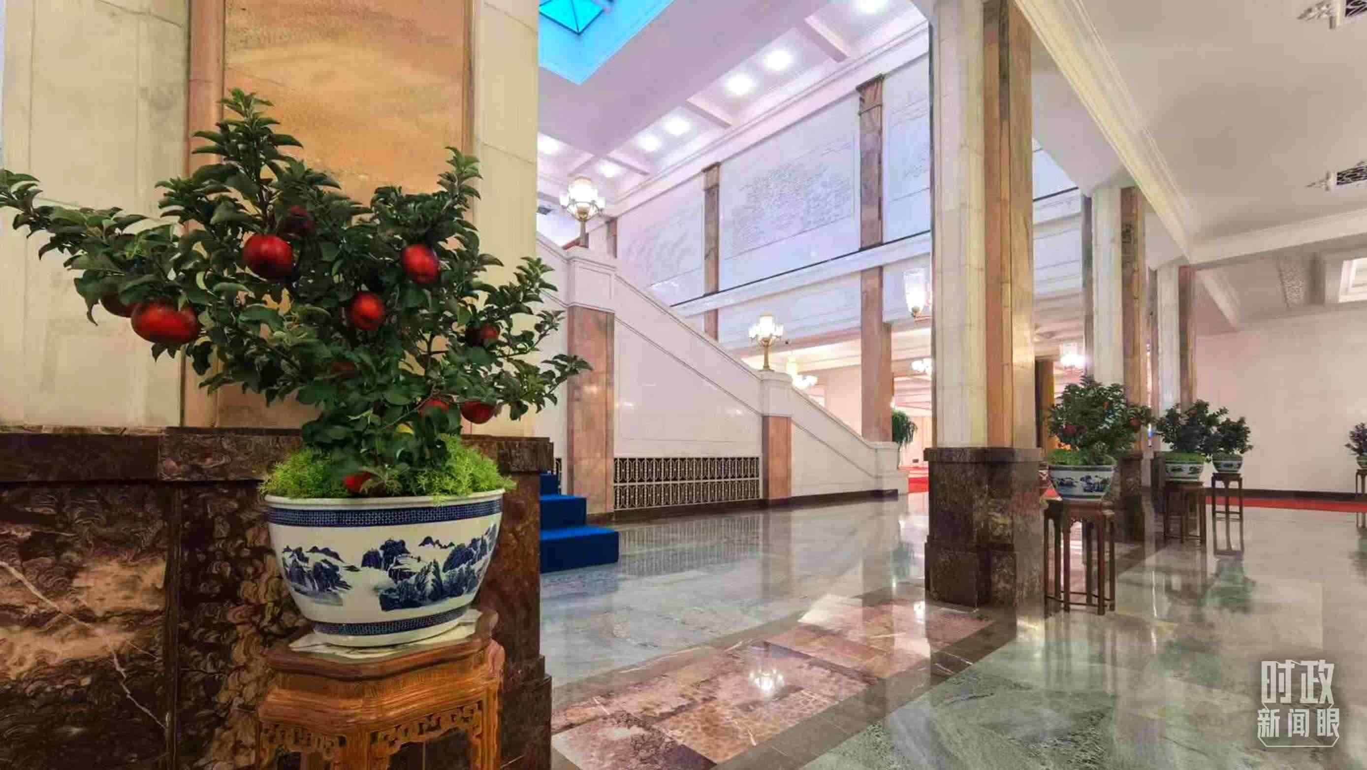  △大會堂內的“碩果累累”盆栽。（總臺國廣記者吳倩拍攝）