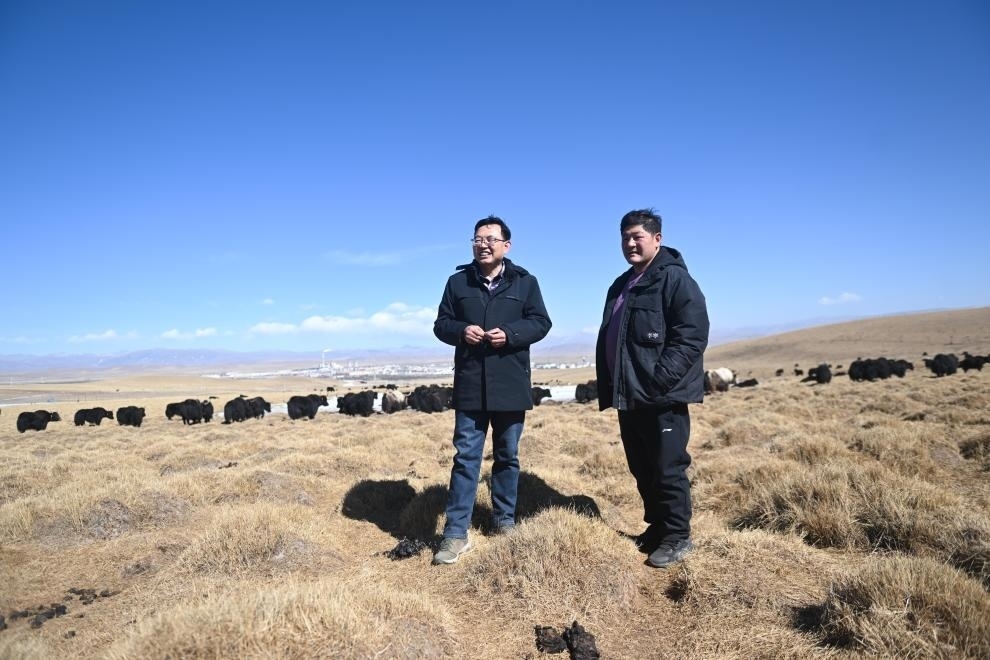 2023年2月24日，在青海省海北藏族自治州海晏縣青海湖鄉(xiāng)達玉日秀村，全國人大代表董全民（左）查看牧民東知布家的草場。新華社記者 張龍 攝