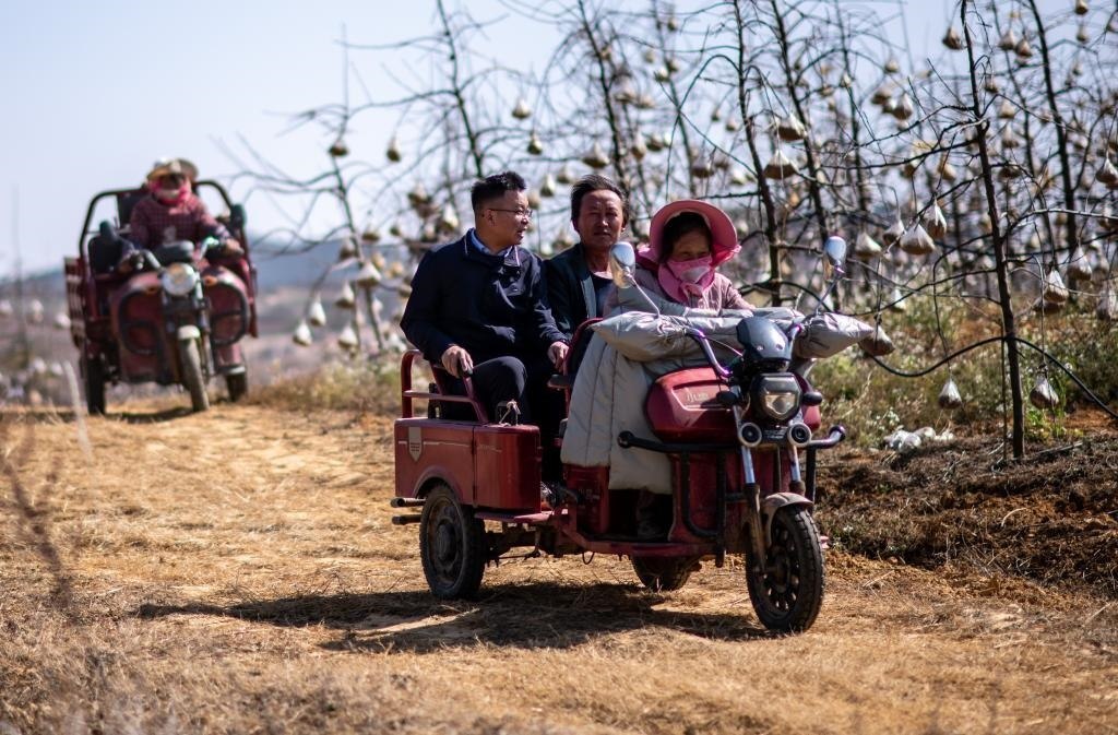 全國人大代表袁海波（右三）在云南省曲靖市馬龍區(qū)一種植基地了解務(wù)工人員就業(yè)需求（2023年2月11日攝）。新華社記者 江文耀 攝