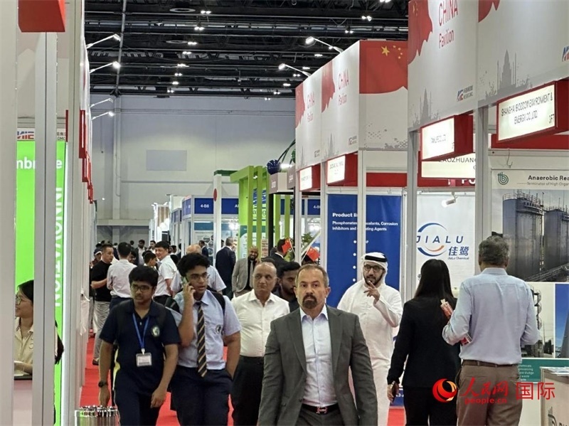 中國(guó)館一角。人民網(wǎng)記者管克江攝