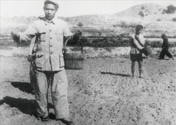 △ 谷文昌在福建省東山縣坑北村參加播種。