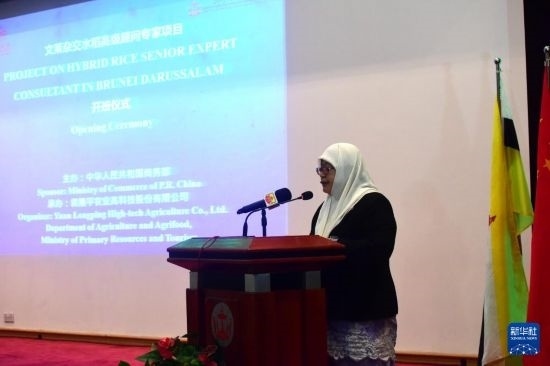 10月26日，文萊初級(jí)資源與旅游部常任秘書(shū)圖蒂亞蒂在斯里巴加灣市出席中國(guó)與文萊雜交水稻高級(jí)專家顧問(wèn)項(xiàng)目啟動(dòng)儀式。新華社記者 李萌 攝