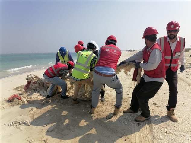 中國(guó)電建員工在撿拾海灘垃圾。中國(guó)電建供圖