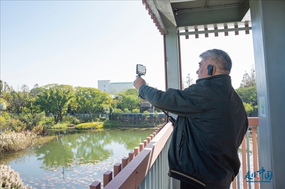 參觀白鷺園。環(huán)球網供圖