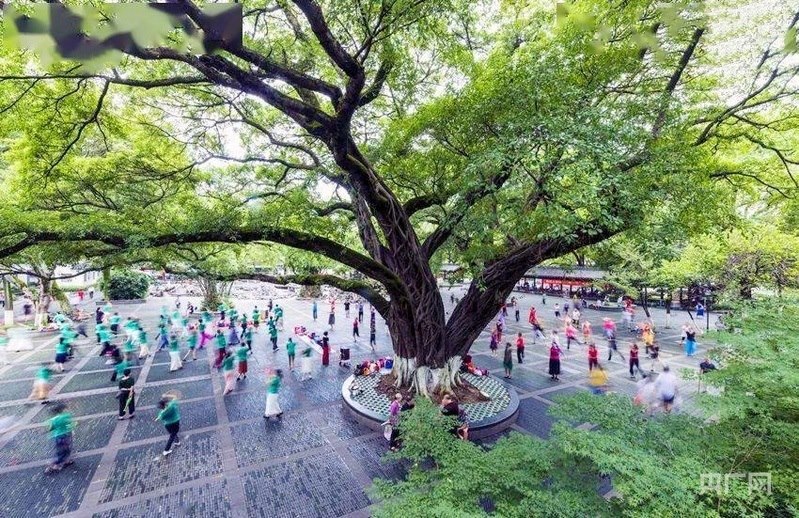 市民在贛州公園晨練（央廣網(wǎng)發(fā) 江化良 攝）